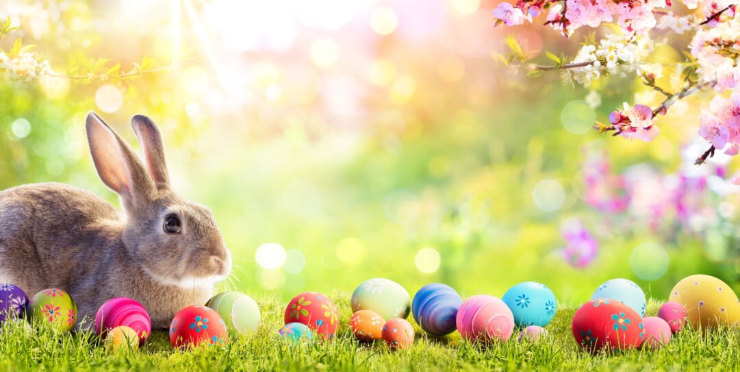 The Easter Bunny on a lawn with colourful eggs.