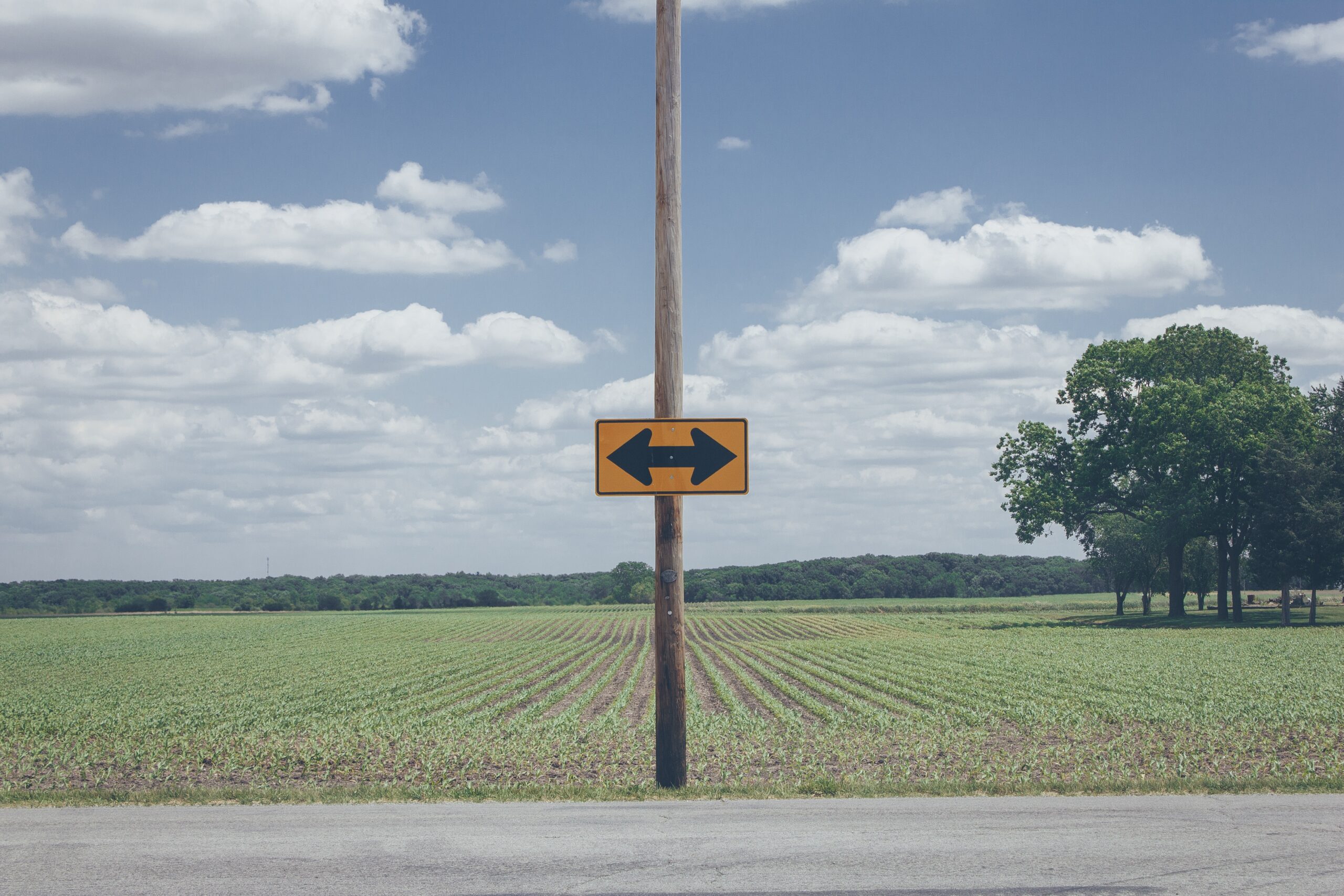 Photo of a road ending with a left and right turn arrow attached to a pole.